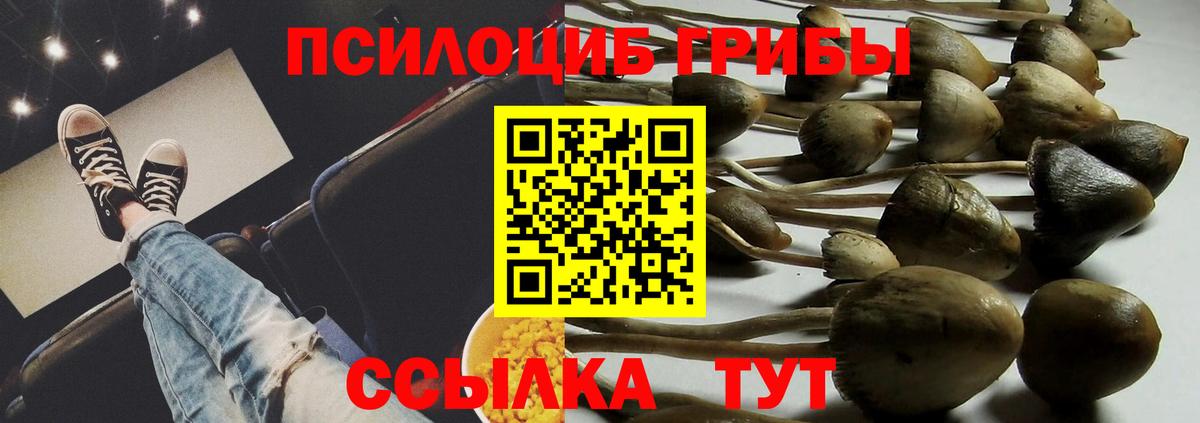 Псилоцибиновые грибы мухоморы  Вход с VPN  Галлюциногенные грибы Cubensis  Курчатов 